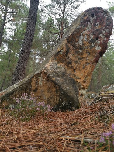 Area cover image showing a relevant boulder.